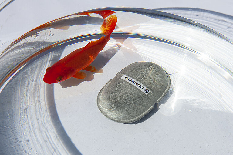 IoT Sensor - im Aquarium mit Fisch